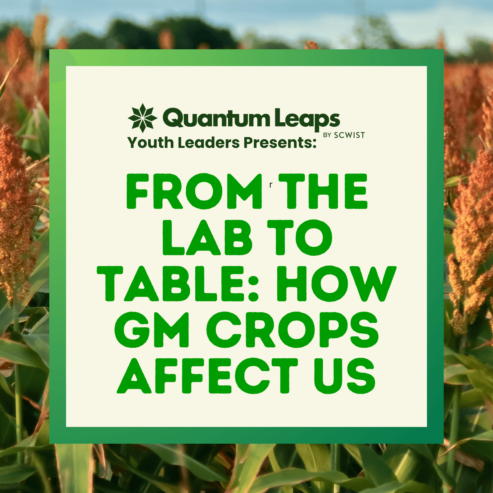 From the Lab to Table: How GM Crops Affect Us