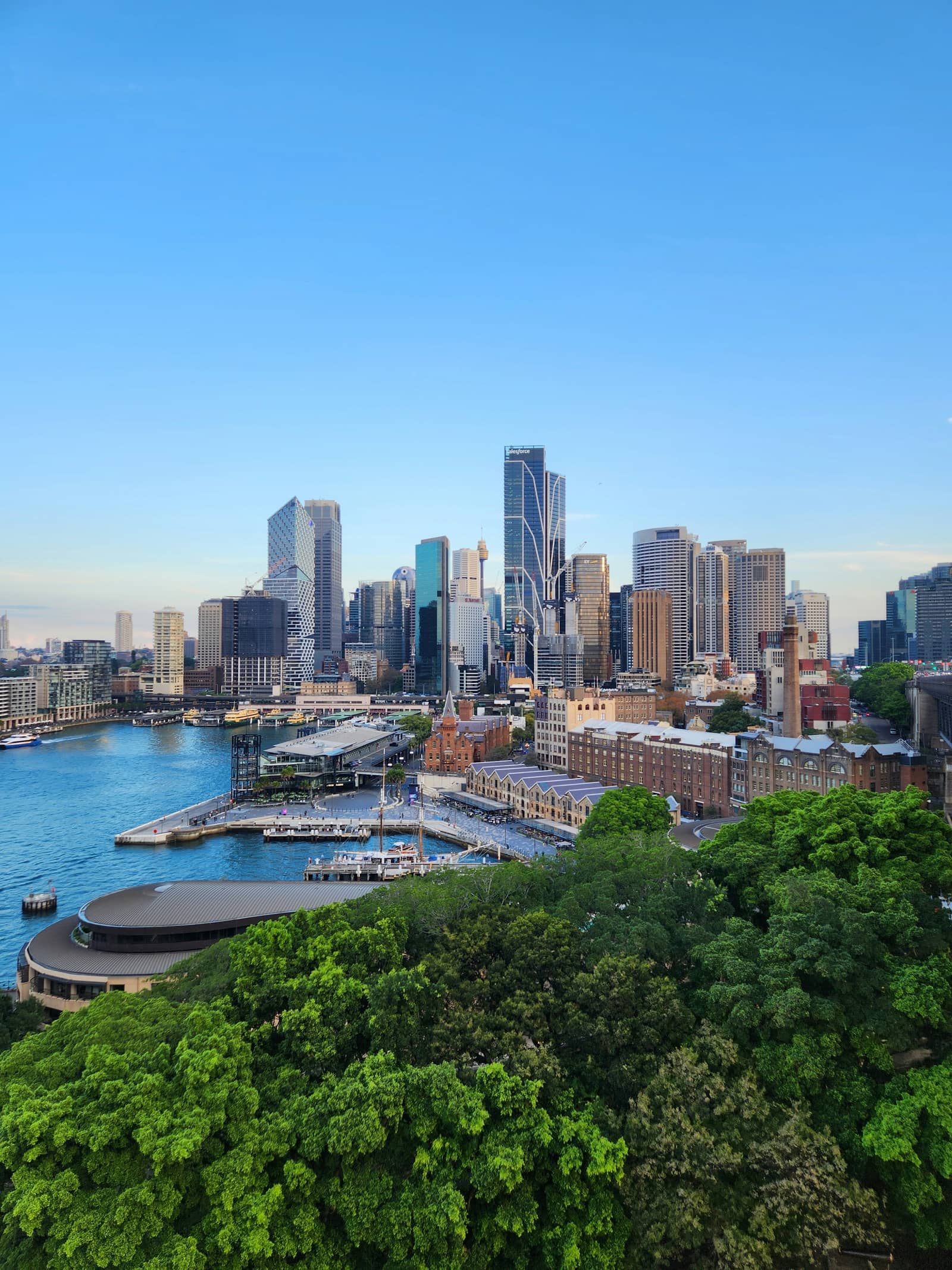GTM Bridge Series by Mamba Partners - Market entry to Australia