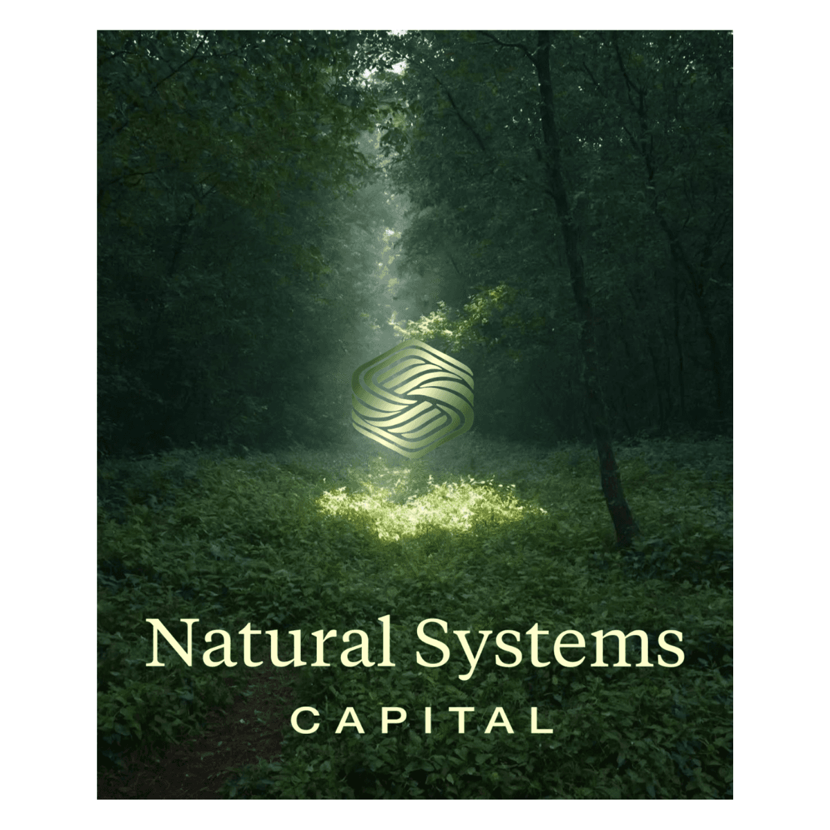 Natural Systems Capital | GIIN Bier & Bitterballenborrel