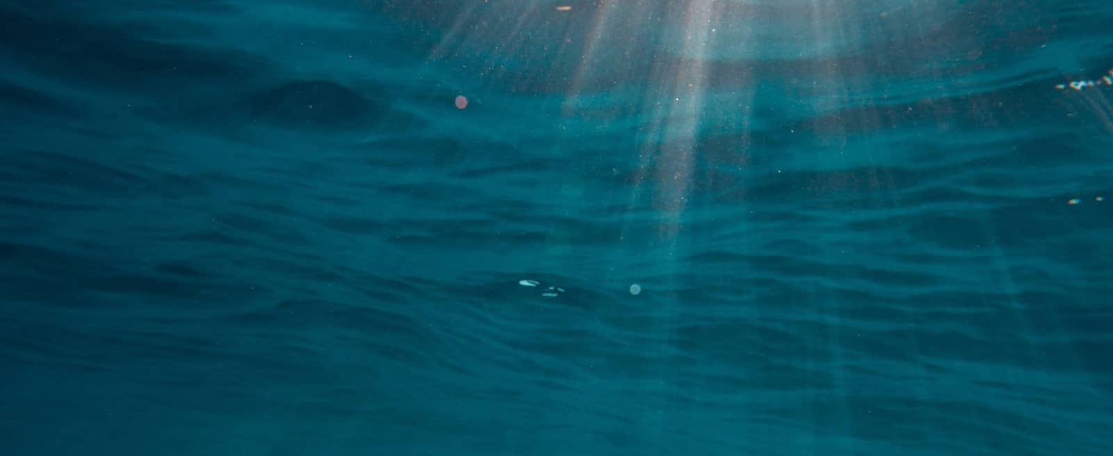Making the Invisible Visible: Microplastics off the Massachusetts Coast