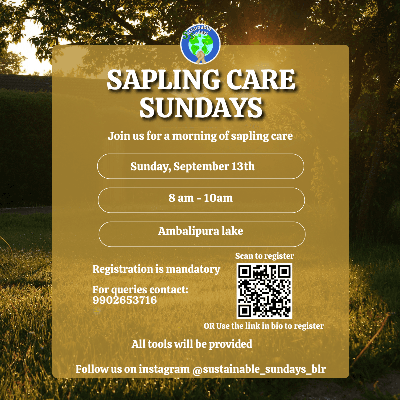 Sapling care Sundays