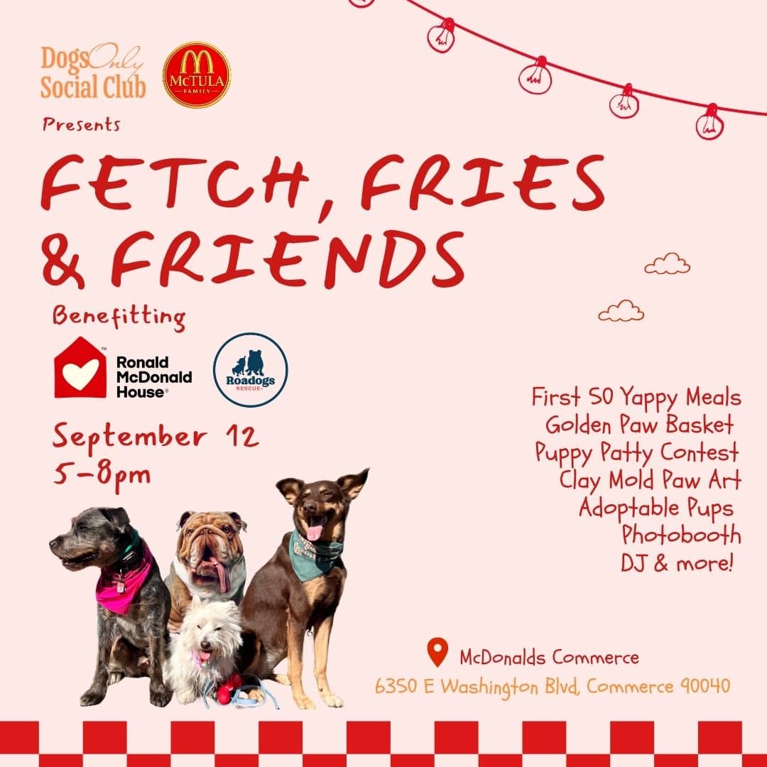 Fetch, Fries & Friends
