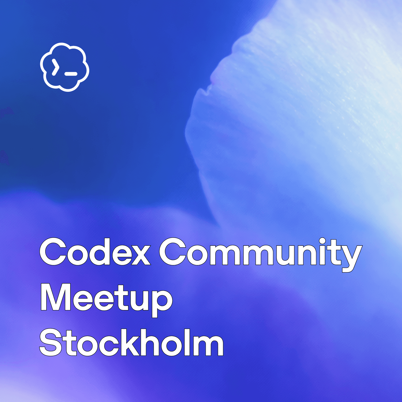 Codex Community Meetup: Stockholm