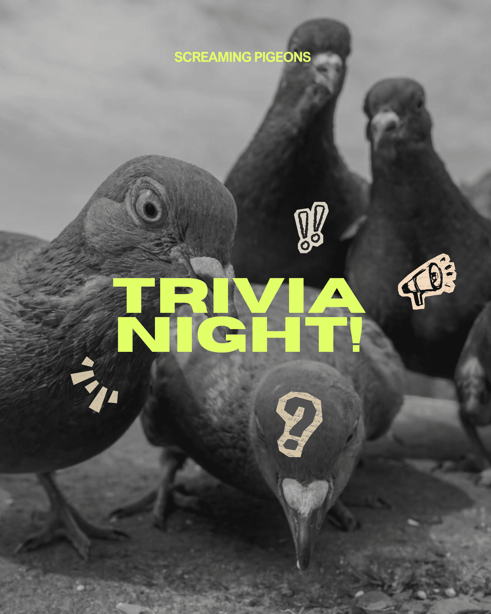 Use Your Bird Brain: Girl's Night Trivia!