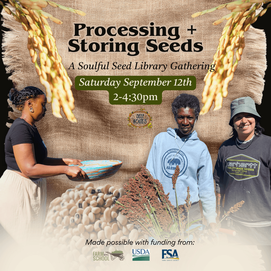 Soulful Seed Library Sessions: Processing + Storing Seeds