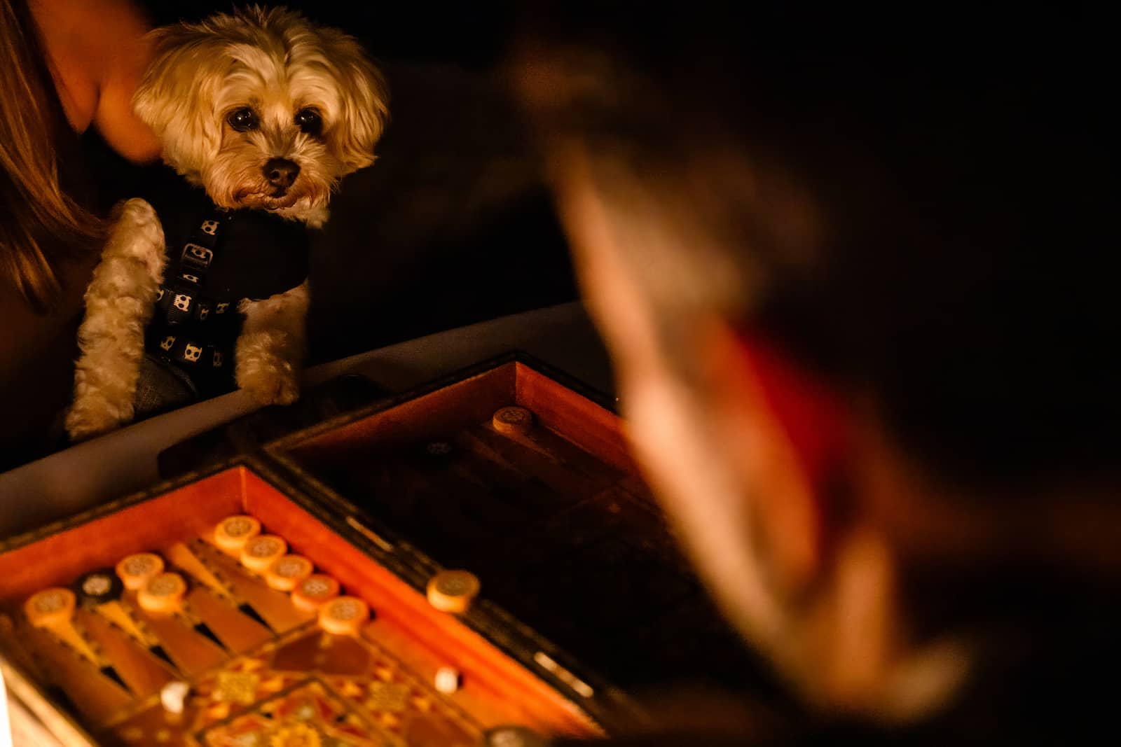 Backgammon Social x Frankie's Summer Club
