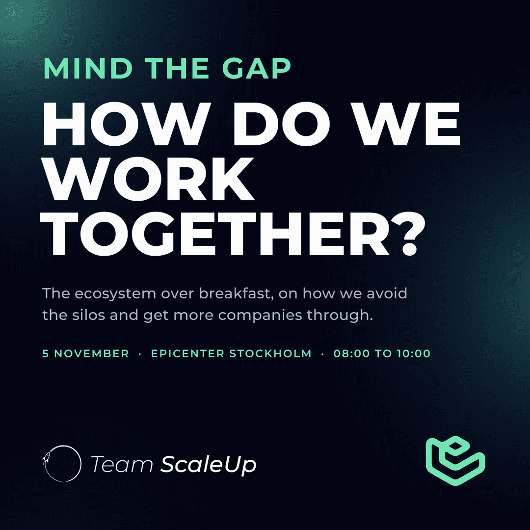 Mind the Gap: How do we work together and avoid silos for a stronger scaleup landscape?