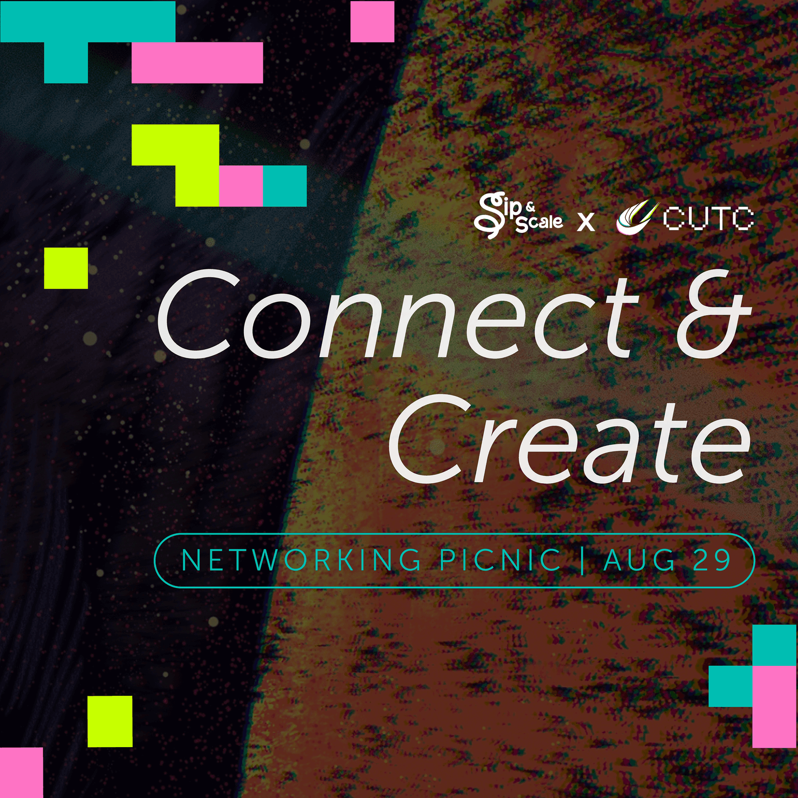 Connect & Create: Intern Picnic