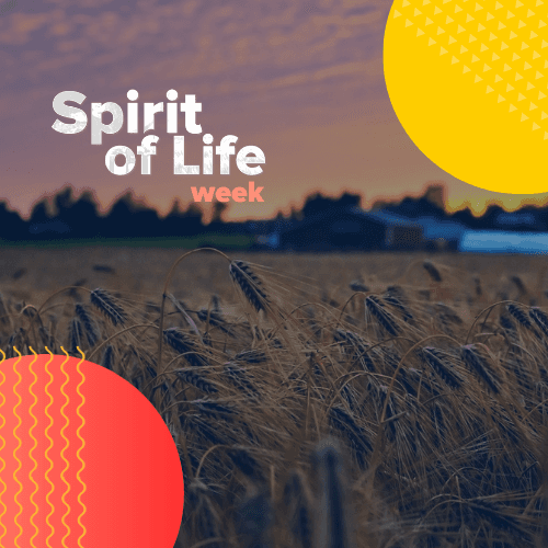 Spirits: our Role in Helping Sustain Europe’s Agriculture and Agri-food Sector