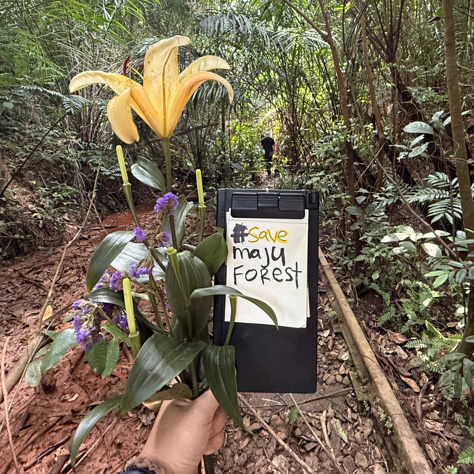 🦕🌳🫯 Dinosaur Tree Forest Walk