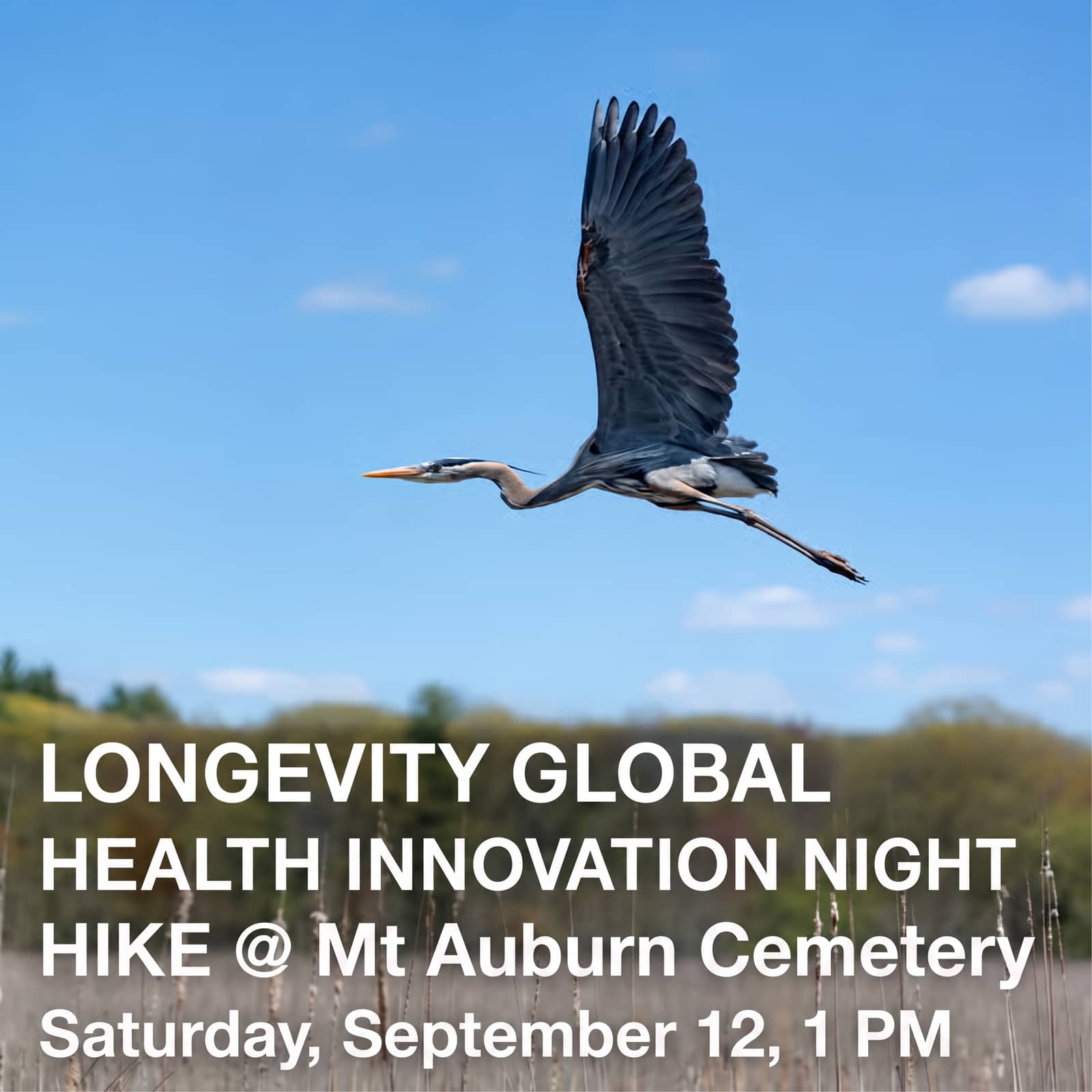 A Short Nature Hike by Longevity Global and Health Innovation Community