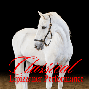 Classical Performance by the South African Lipizzaners