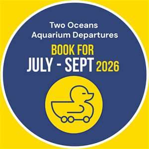 The Two Oceans Aquarium: The Waterfront Duck Co Tours: July - September 2026