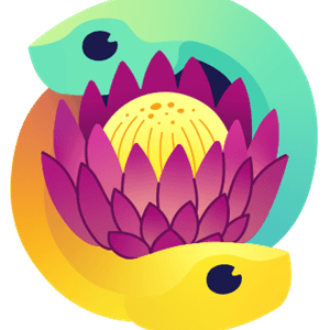PyConZA 2026
