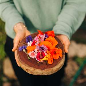Garden Day Spring Flower Workshop with Veld & Sea - 18 October