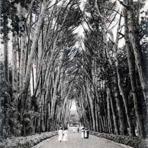 Craft Burghers - A Heritage Walking Tour Up the Liesbeek River