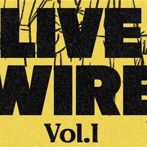 Live Wire, Vol 1: Networking For Young Creators And Entrepreneurs