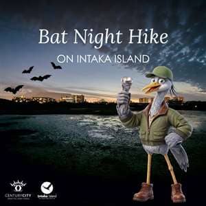 Bat Night Hike on Intaka Island