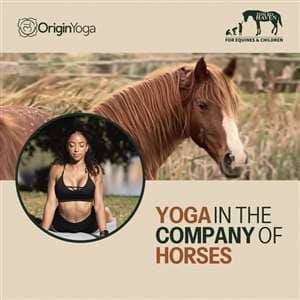 Yoga in the Company of Horses