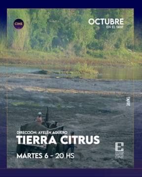 Tierra citrus