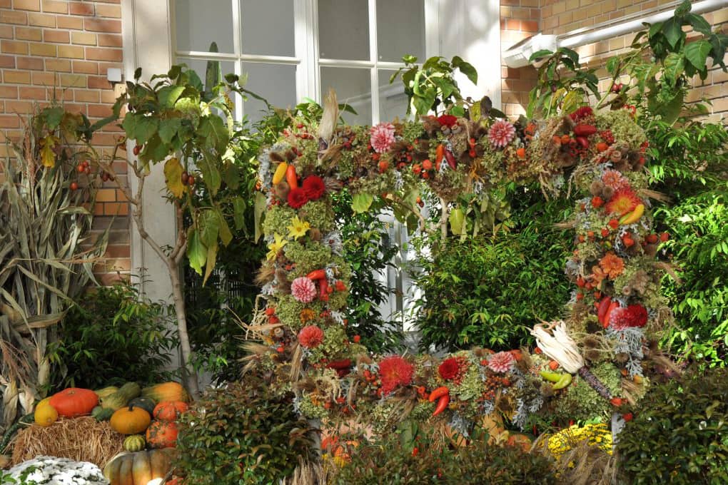 Vienna Autumn Days