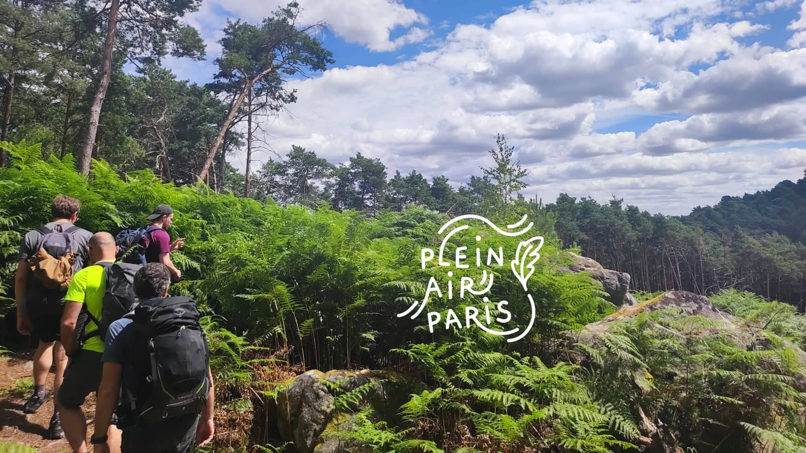 WEEKEND RANDO #11 : dans la belle forêt de Fontainebleau 🌳 🌳 🌳 (77)