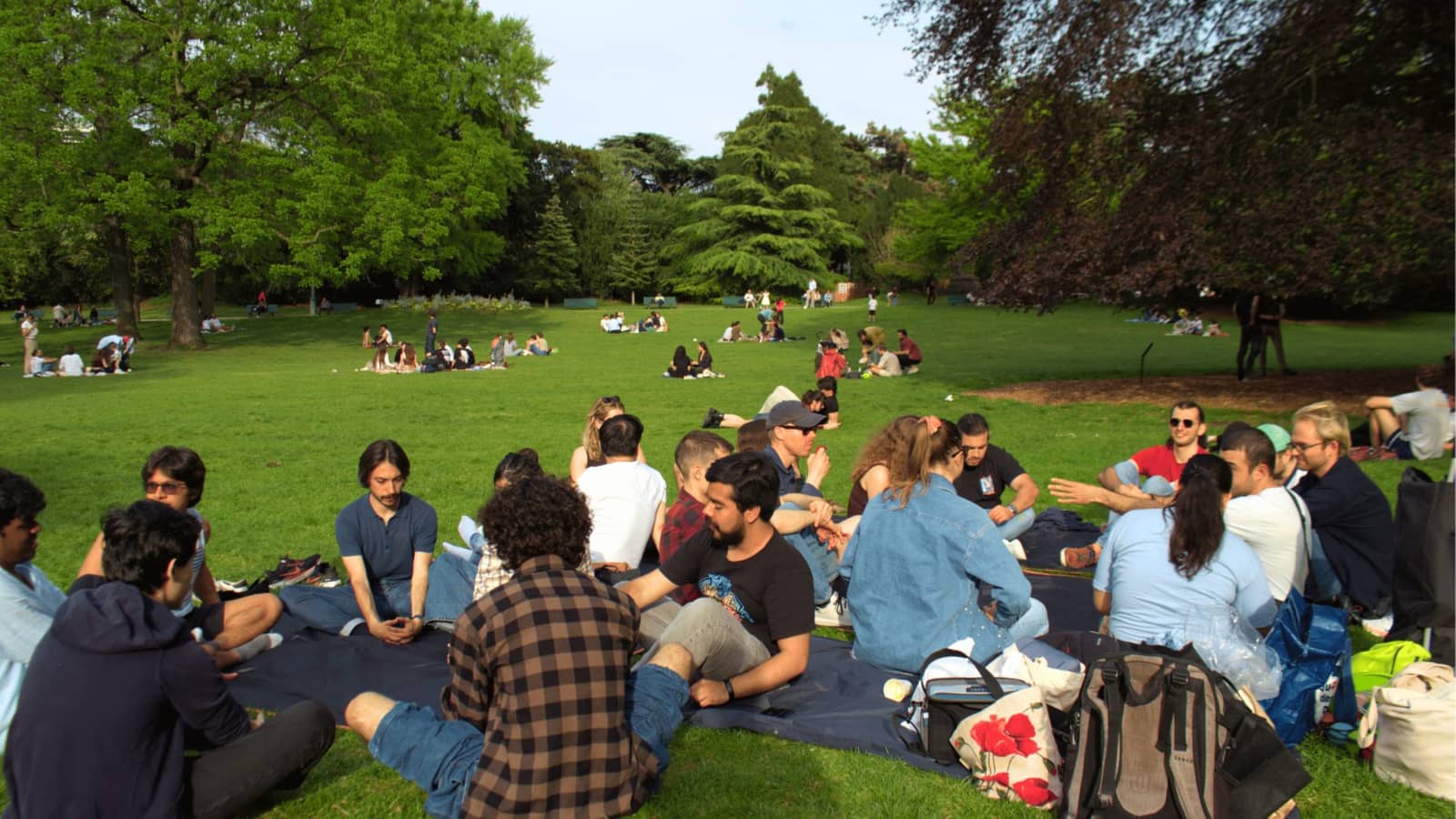 Picnic & Conversations: Meet people, make friends in Paris