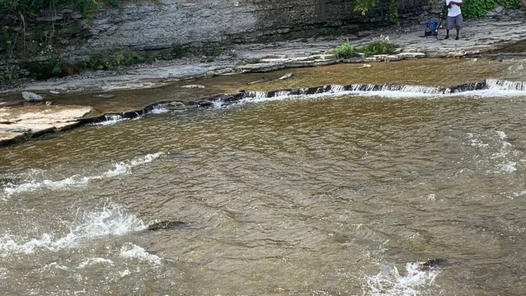 Walk and Salmon watching (hopefully)