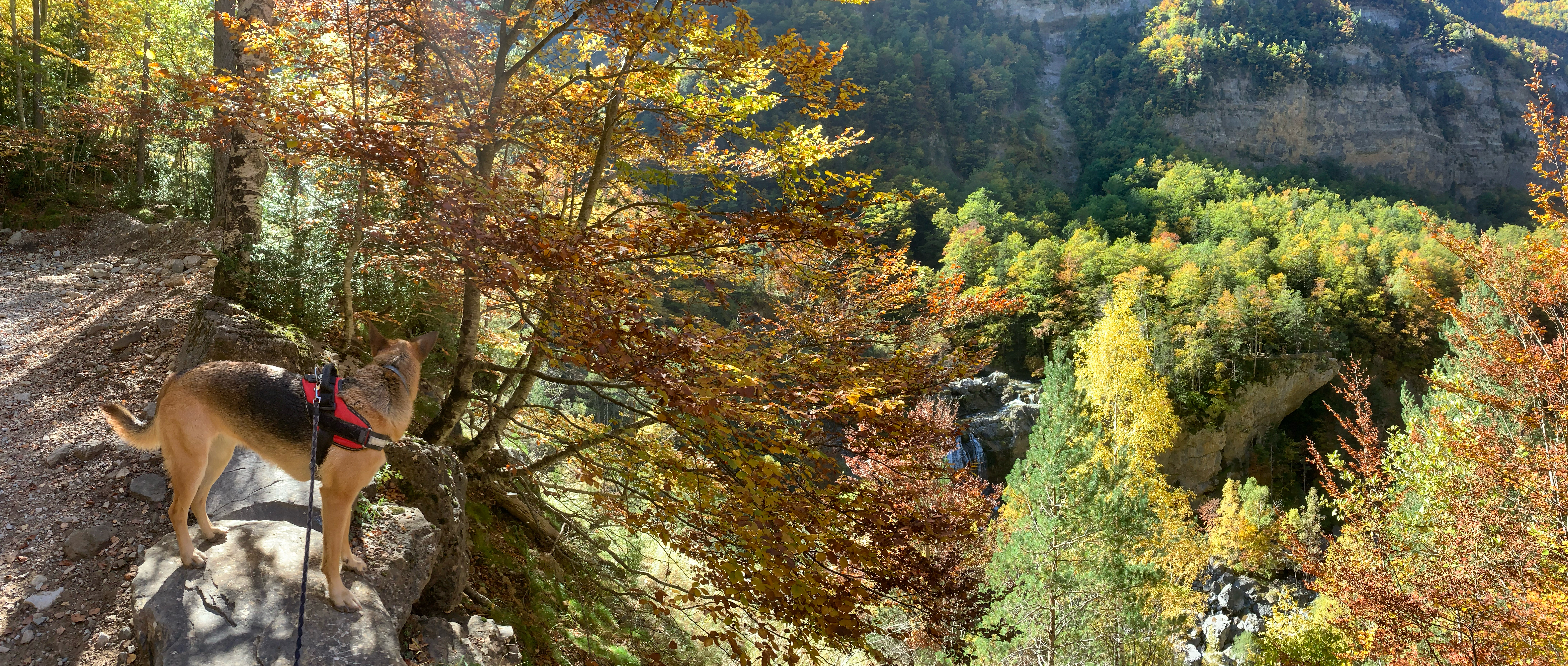 VALLE DE ORDESA Y PINETA EN OTOÑO. NO TE LO PIERDAS!! NIVEL MEDIO.