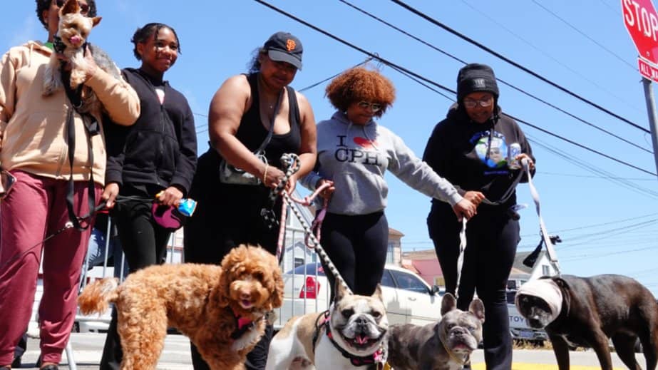 Sunday (FUNday) OPEN Streets SF: BAVYIEW Festival