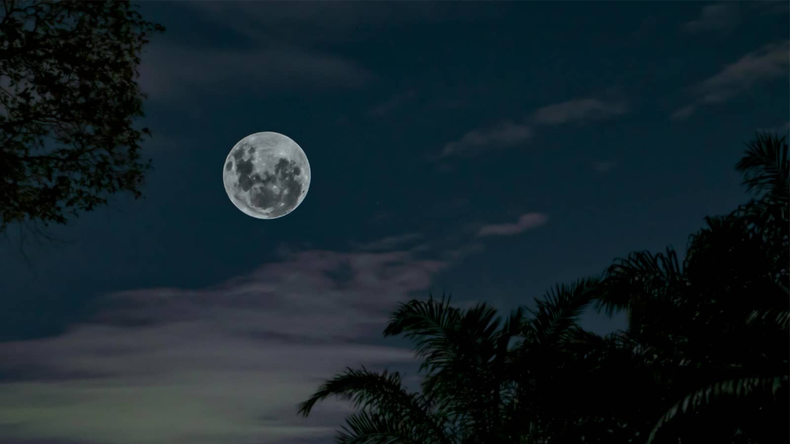 Astrology Chart Interpretation meeting- Focus on the Nodes, your life path