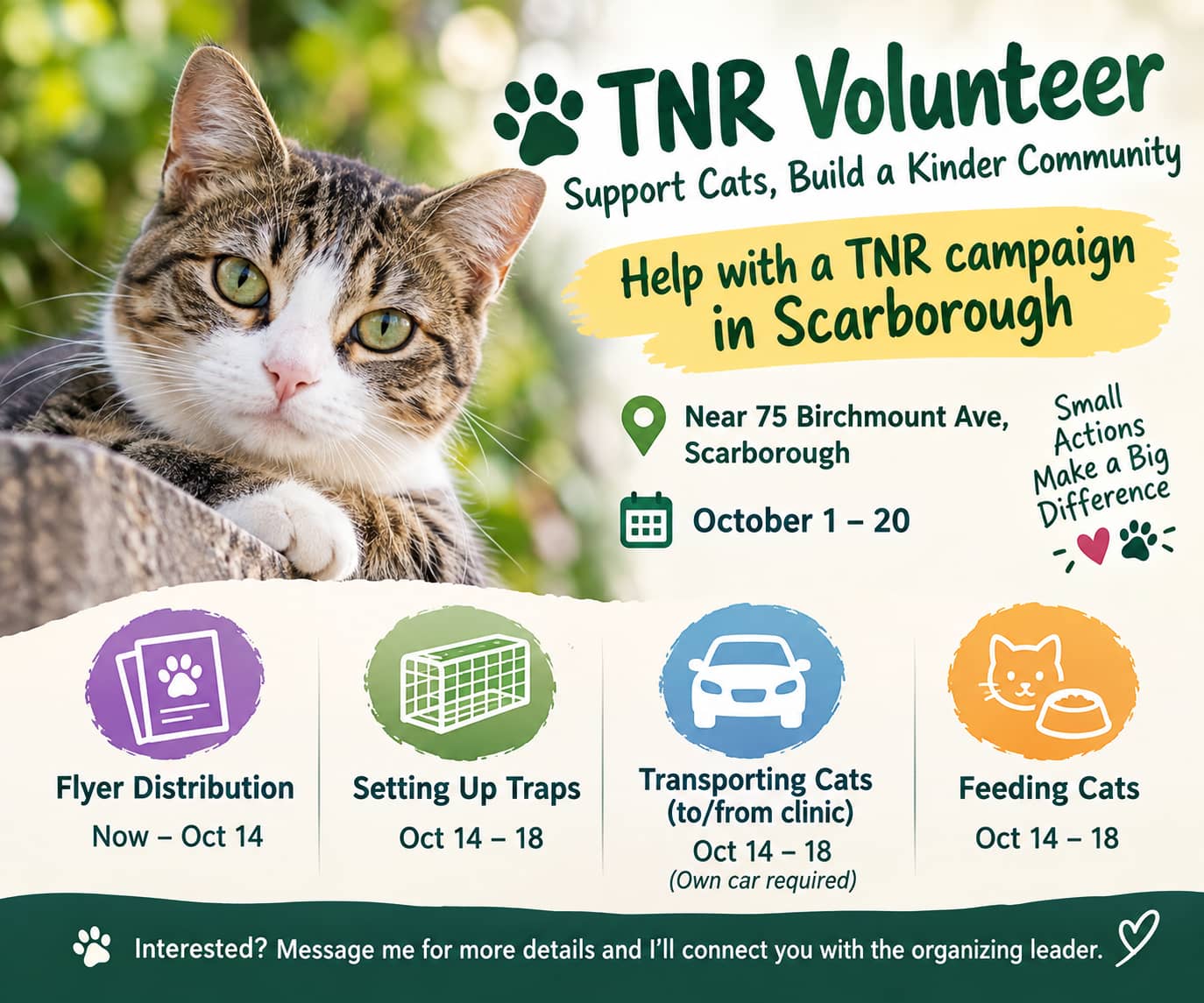 🐾 Give Back: TNR Cat Rescue Volunteer Day