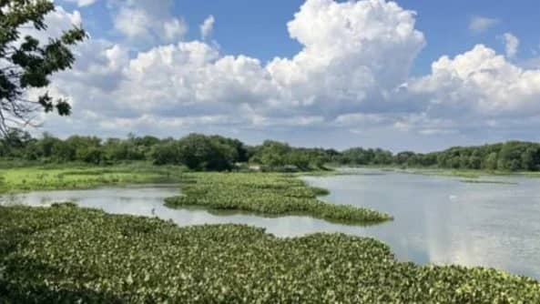 John Heinz Wildlife Refuge (partial lake loop)