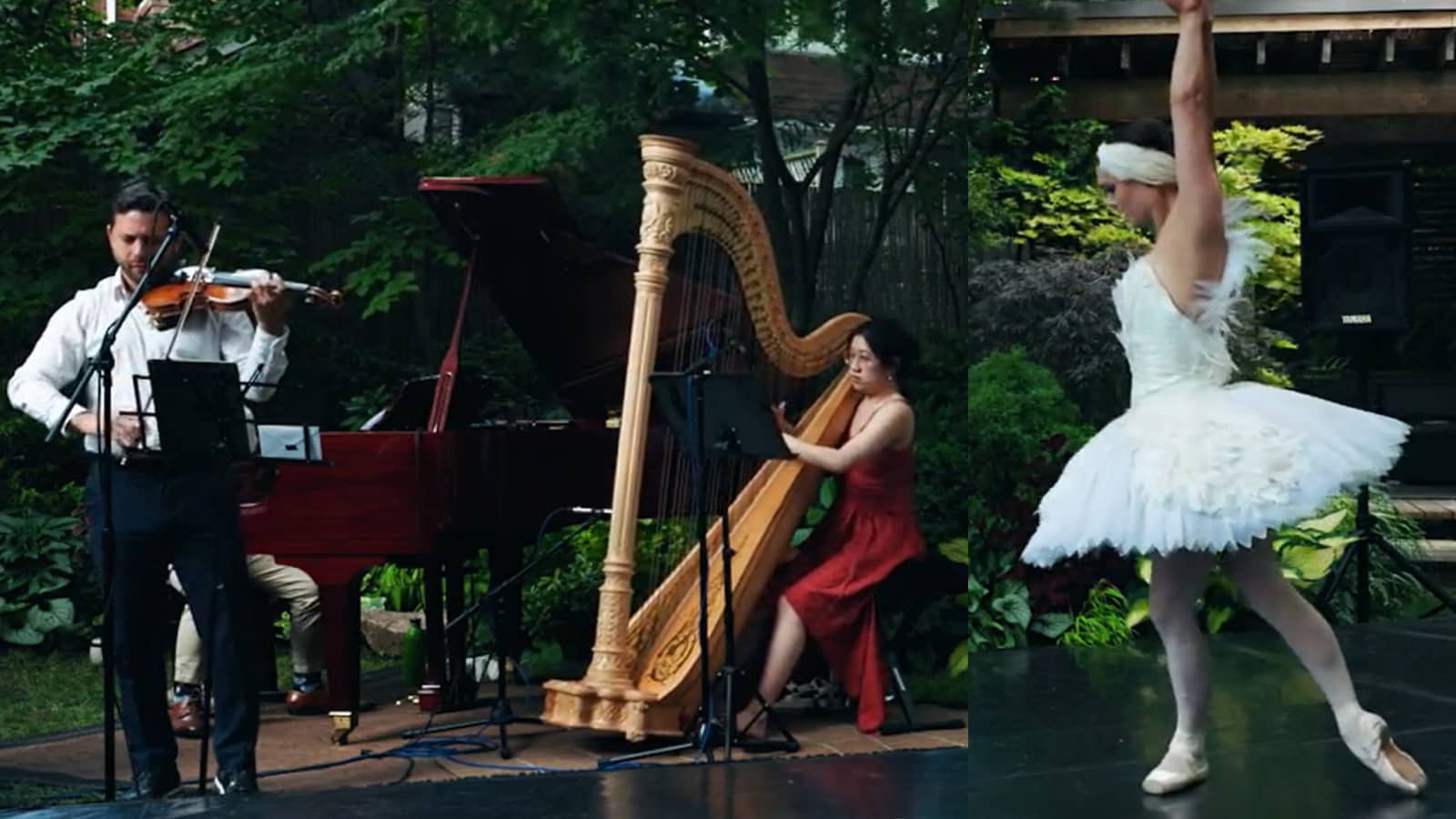 Toronto Botanical Gardens Free Concert & Dance (Lawrence/ Leslie)