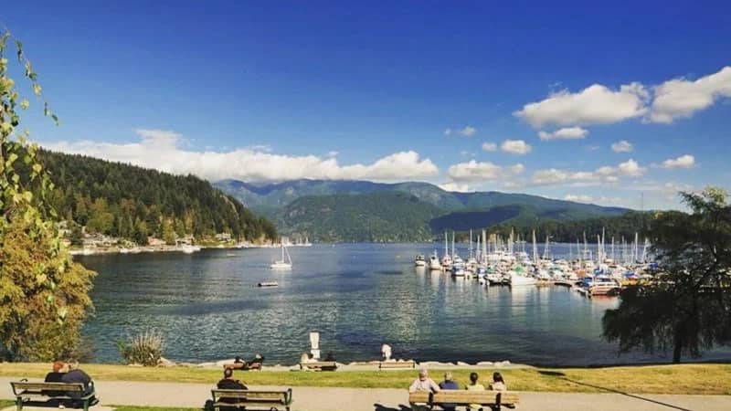 Bike Ride - Burnaby Lake / Deep Cove - 55806950