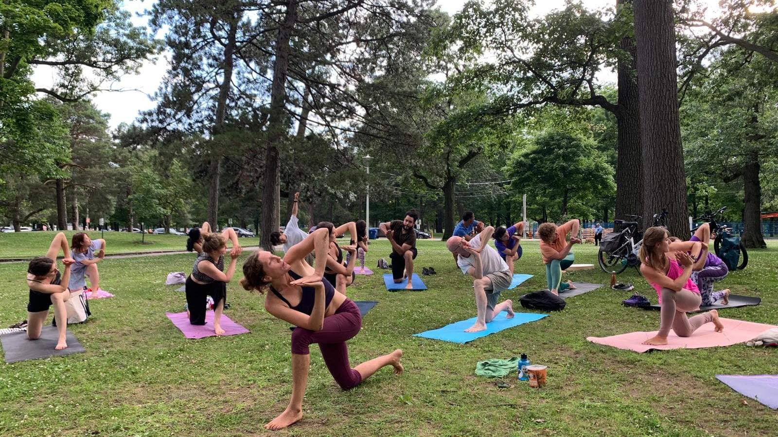 High Park Yoga