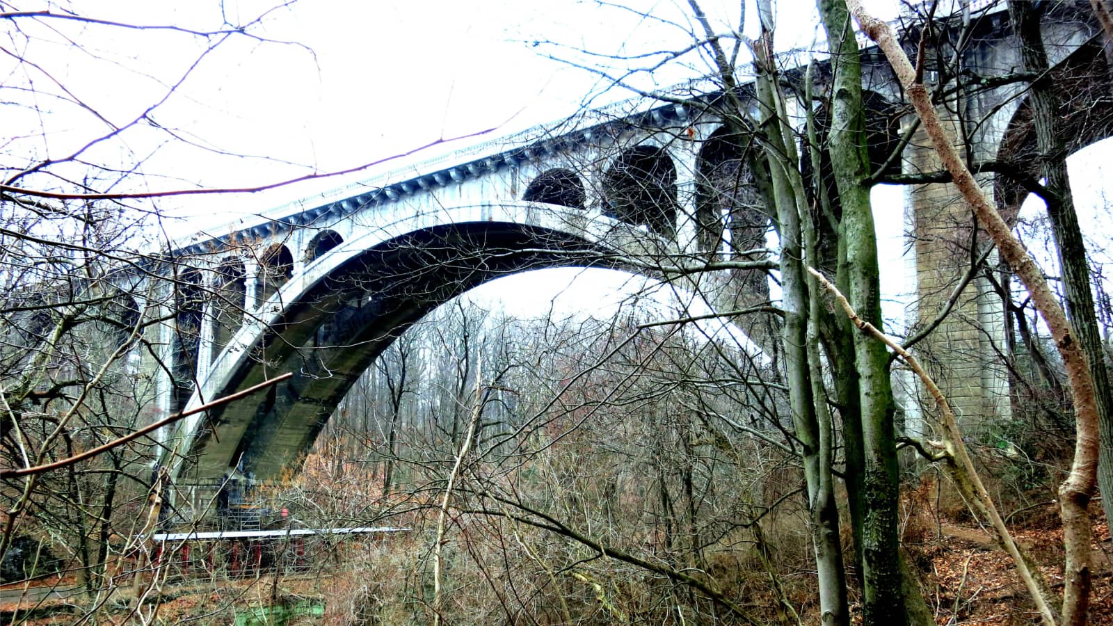 South Wissahickon Hike