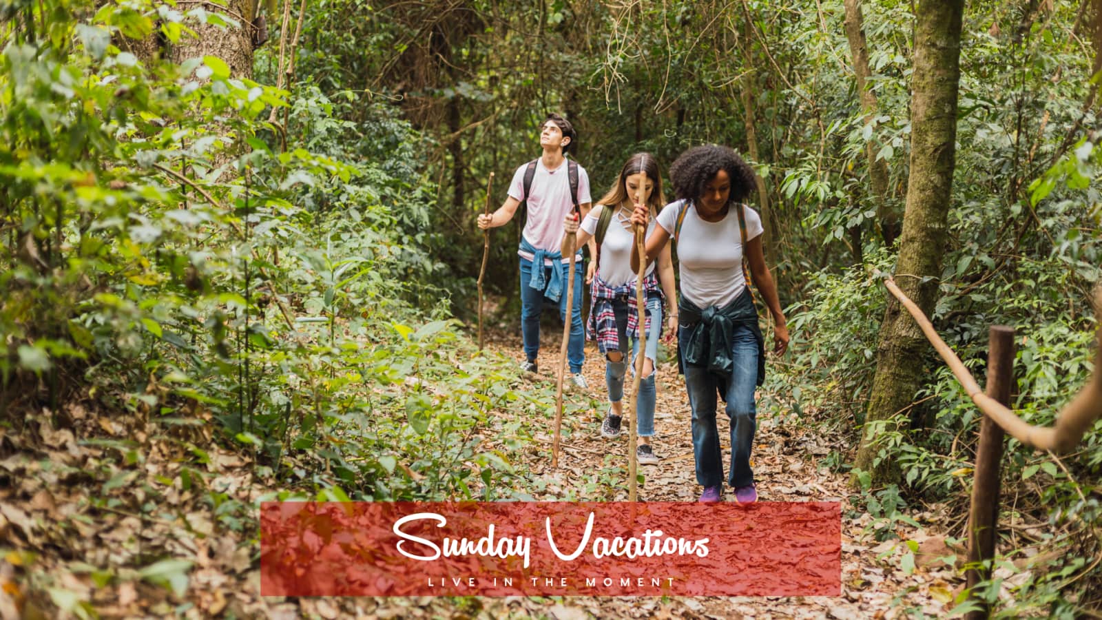 🌿 Groenendaal → Debroux: Sunday Forest Hike & Social Escape