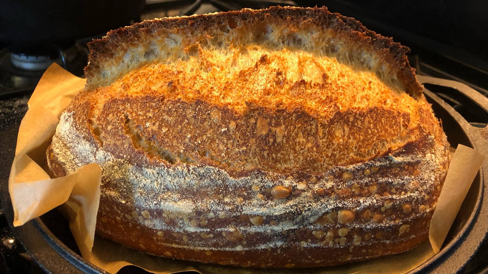 Boston Bread Baker Meetup