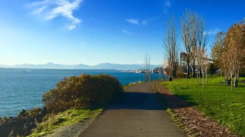 Thursday Morning Trot