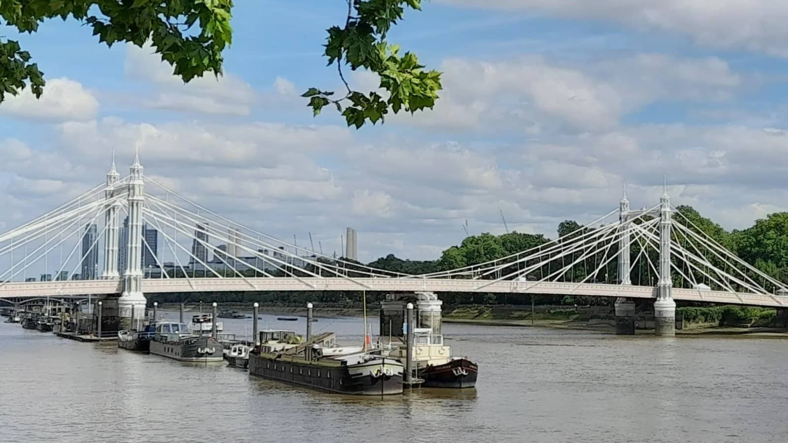 Putney to Battersea via Chelsea Harbour, 5.6 miles