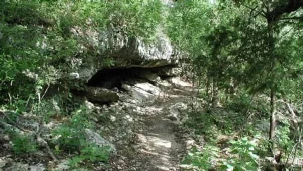 Canyon Vista Hike