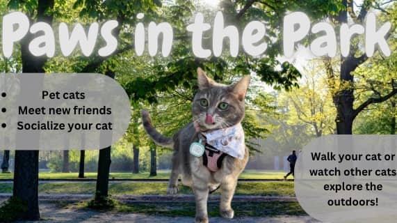 Paws in the Park 🐈🪁🌳