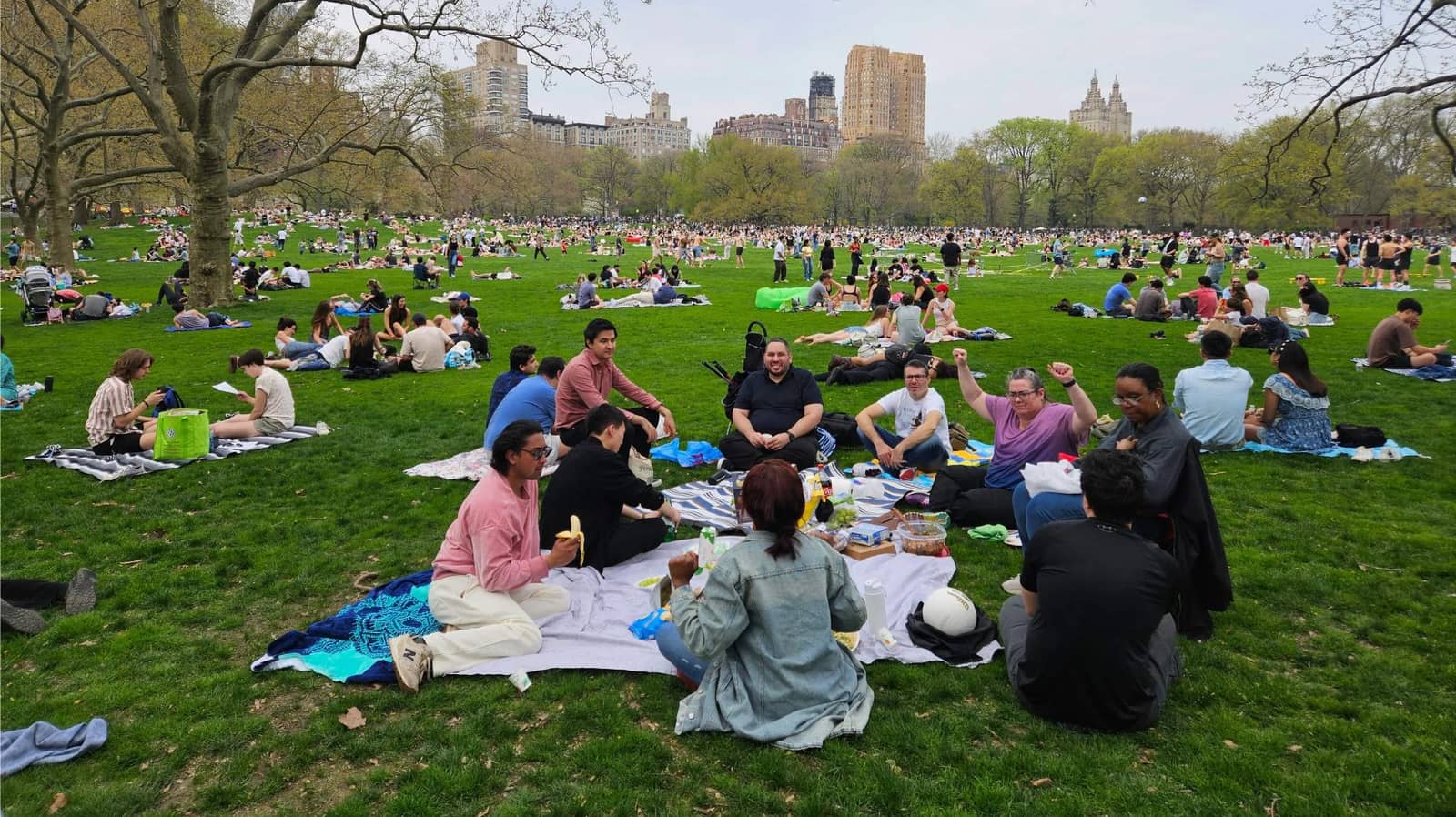 🌳☀️ Let’s Have a Fun Picnic in Sheep Meadow!!! 🍎🍉🍇🥝🍏🥭