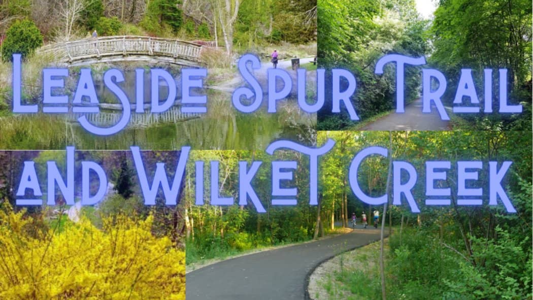 🌿🚶 LEASIDE SPUR TRAIL, WILKET CREEK & EDWARDS GARDENS WALK (10KM) 🚶🌿