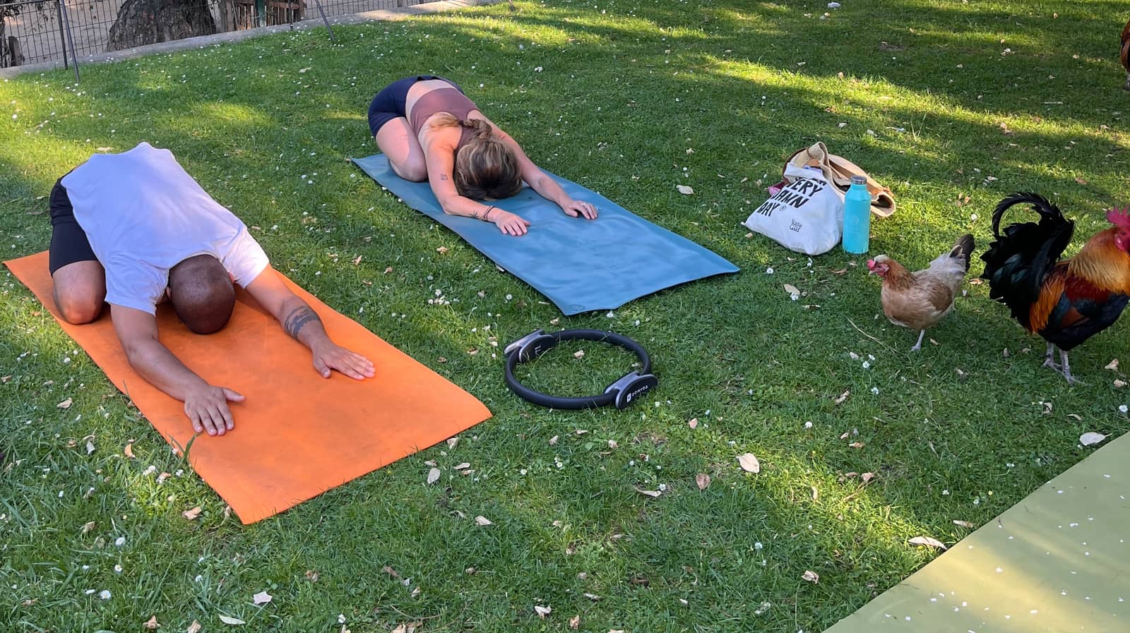 Pilates @Jardim do Campo Santana 🐓