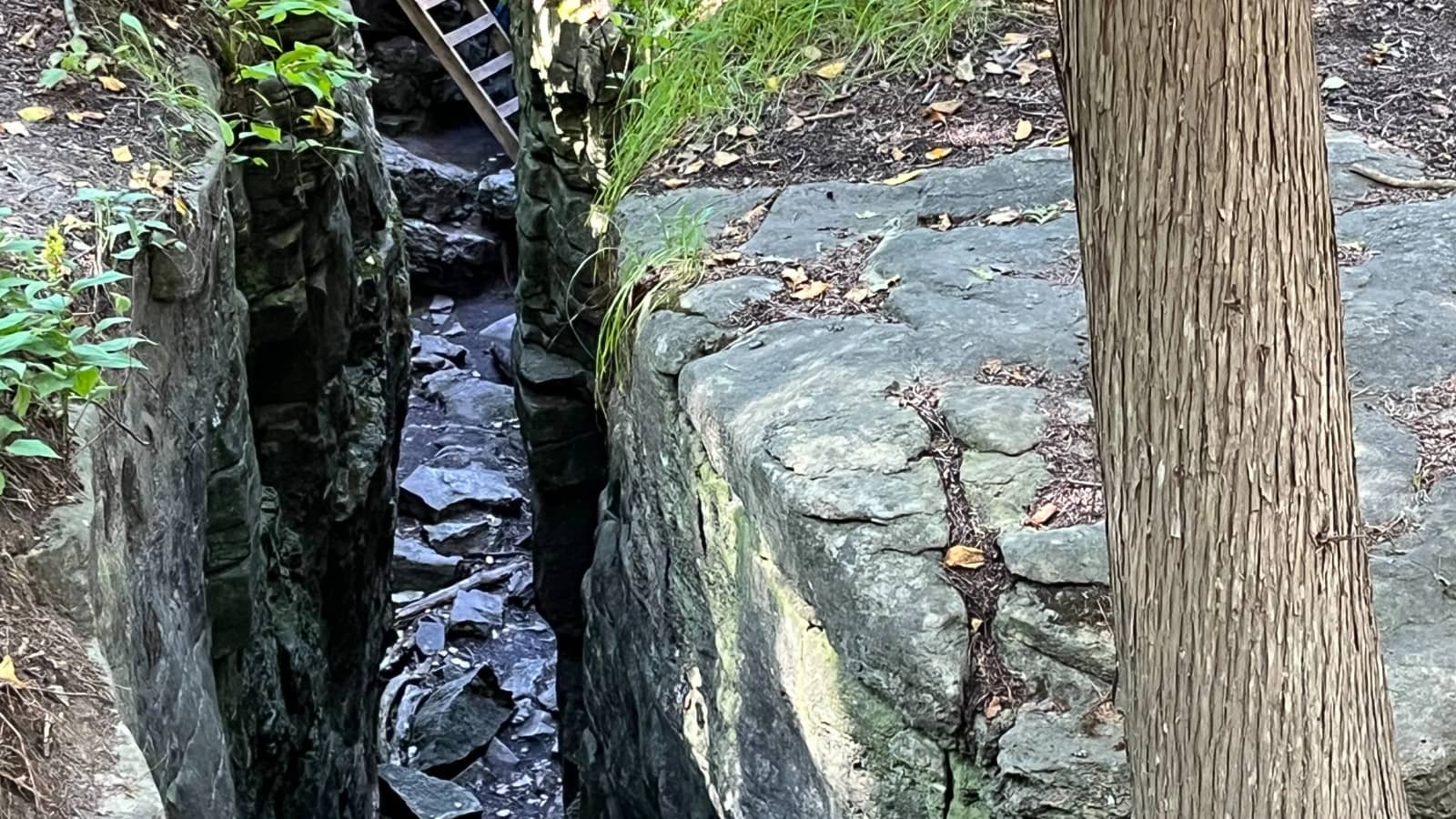 Bus Hike: Limehouse (Bruce Trail Day)