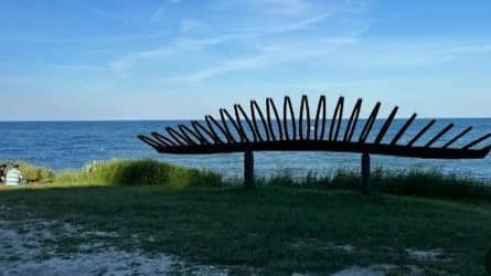 Staying Close to Home..Doris Mcarthy Trail