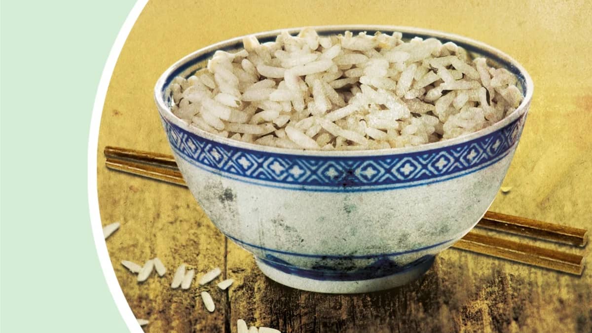 "Rice Bowl" by Suchen Christine Lim