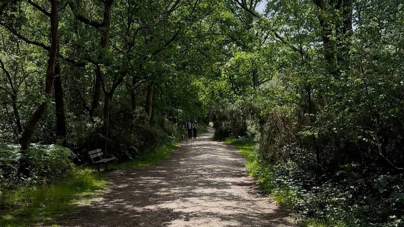 London Society FREE HIKE - Petts Wood to Hayes